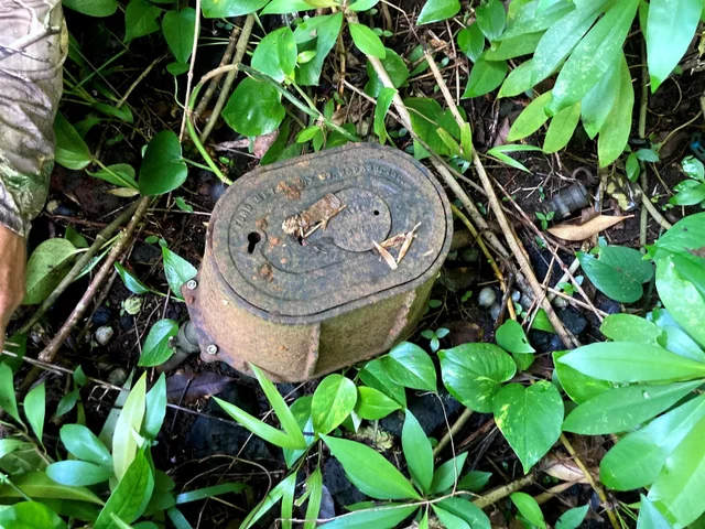 Listing Image for 772 Nahiku Rd 9 of 30