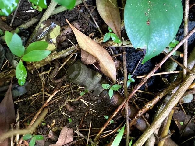 Listing Image for 772 Nahiku Rd 10 of 30