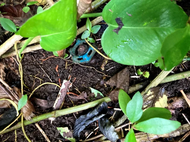 Listing Image for 772 Nahiku Rd 11 of 30