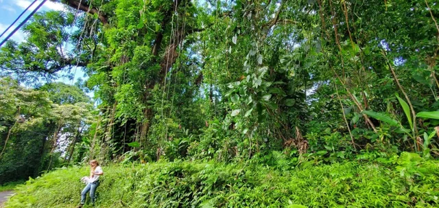 Listing Image for 772 Nahiku Rd 12 of 30