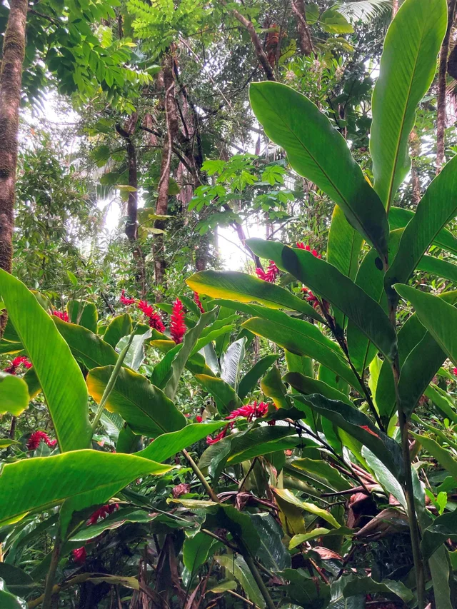 Listing Image for 772 Nahiku Rd 14 of 30