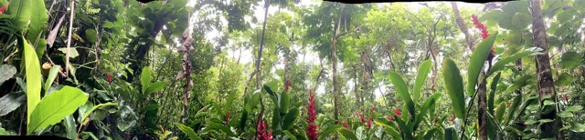 Listing Image for 772 Nahiku Rd 15 of 30