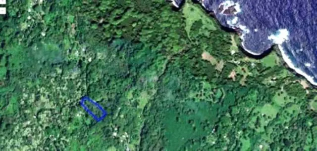 Listing Image for 772 Nahiku Rd 2 of 30