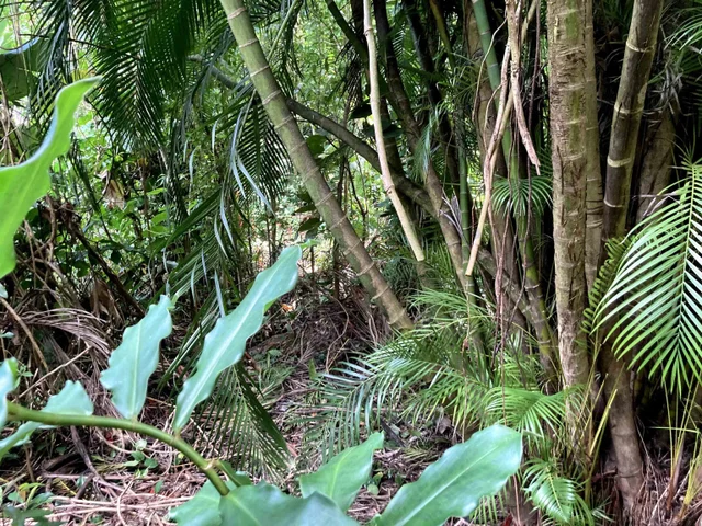 Listing Image for 772 Nahiku Rd 21 of 30