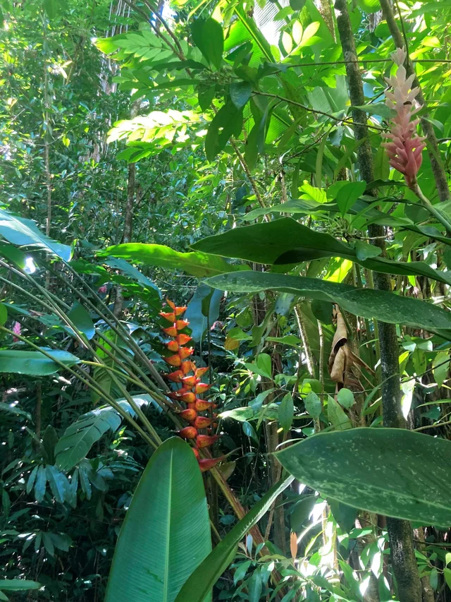 Listing Image for 772 Nahiku Rd 23 of 30