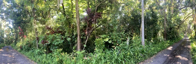 Listing Image for 772 Nahiku Rd 25 of 30