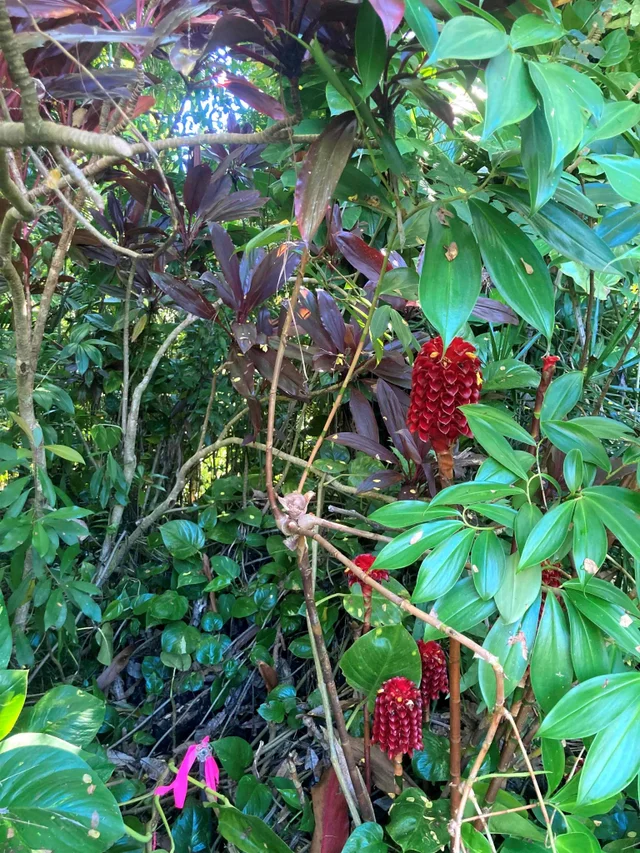 Listing Image for 772 Nahiku Rd 26 of 30