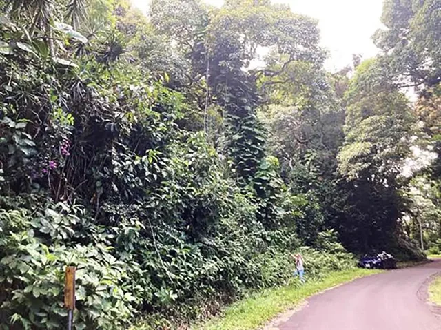 Listing Image for 772 Nahiku Rd 3 of 30