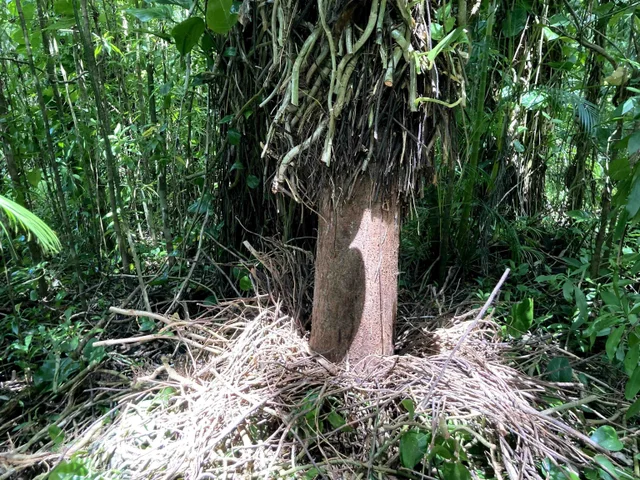 Listing Image for 772 Nahiku Rd 29 of 30