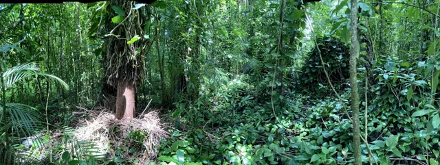 Listing Image for 772 Nahiku Rd 30 of 30