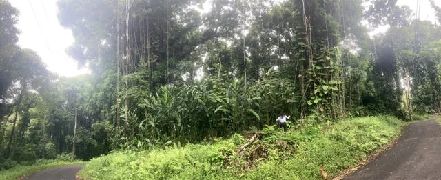 Listing Image for 772 Nahiku Rd 7 of 30