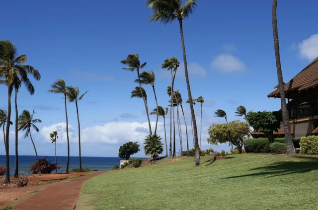 Listing Image for 255 Kepuhi Pl 4a08/2244 33 of 50