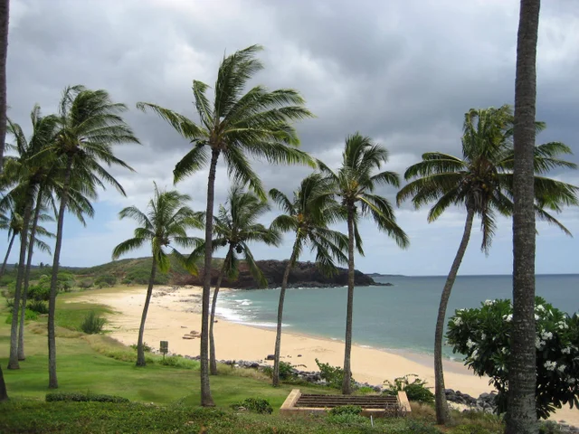 Listing Image for 255 Kepuhi Pl 4a08/2244 39 of 50