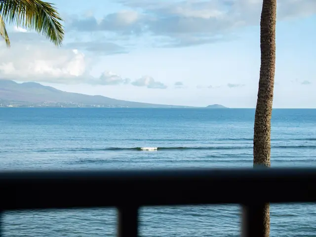 Listing Image for 100 Hauoli St 407 21 of 40