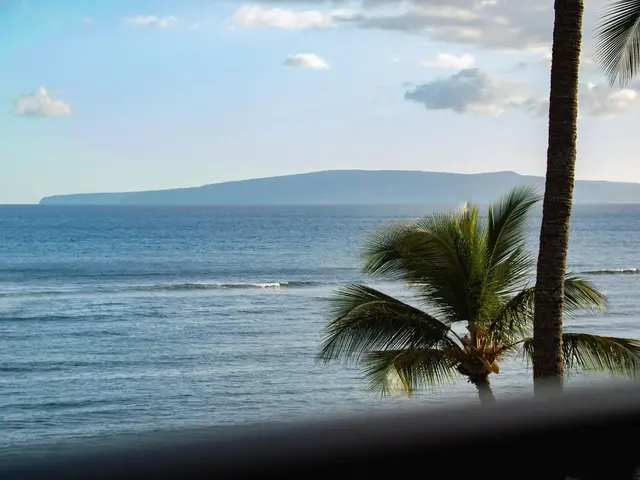 Listing Image for 100 Hauoli St 407 24 of 40
