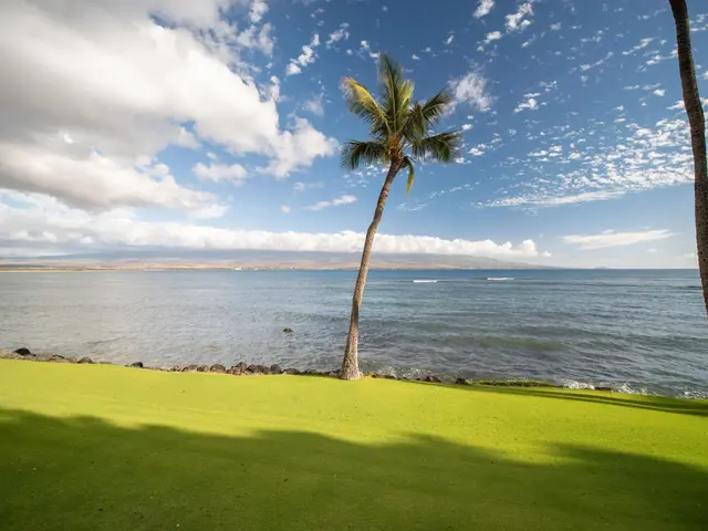 Listing Image for 100 Hauoli St 407 35 of 40