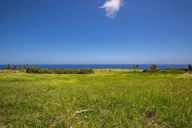 Listing Image for 580 Kai Huki Cir 14b 16 of 19