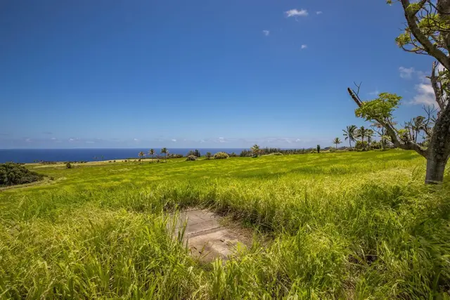 Listing Image for 580 Kai Huki Cir 14b 17 of 19