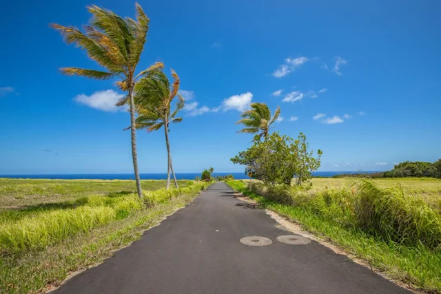 Listing Image for 580 Kai Huki Cir B 4 of 7