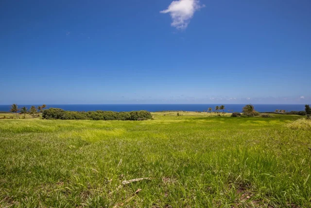 Listing Image for 580 Kai Huki Cir B 6 of 7