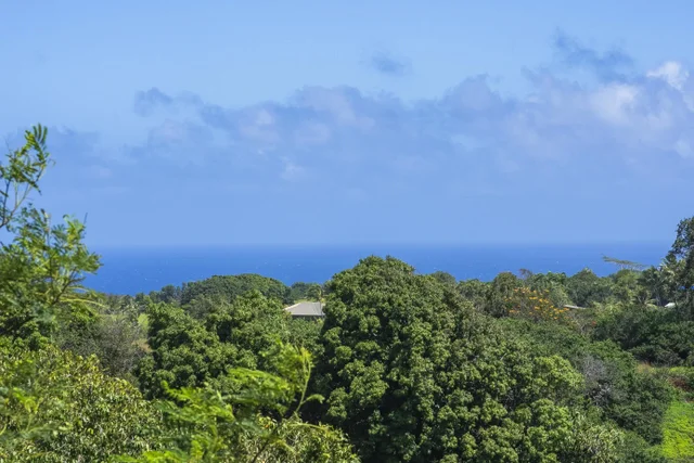 Listing Image for 3980 Hana Hwy 3 of 33