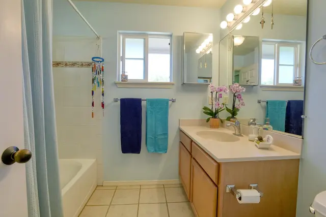 Listing Image for 50 Halili Ln 5l 17 of 33