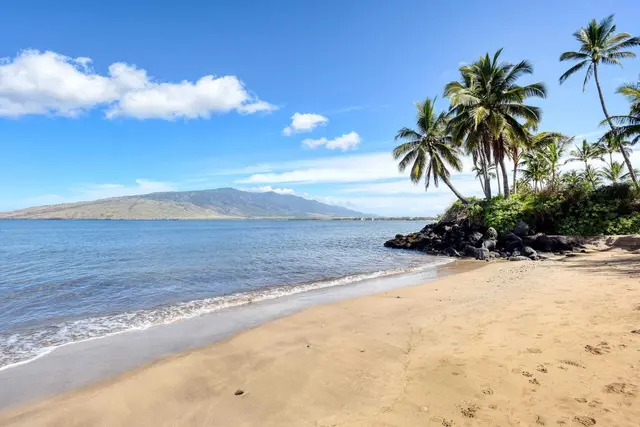 Listing Image for 50 Halili Ln 5l 30 of 33