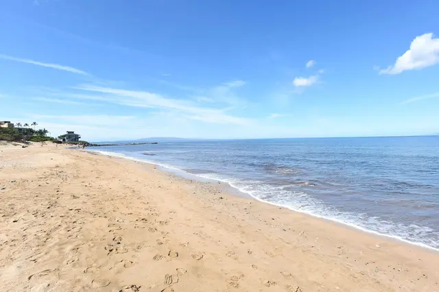 Listing Image for 50 Halili Ln 5l 31 of 33