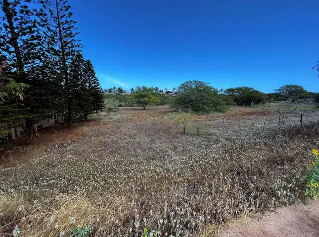 Listing Image for 30 Kaiaka Rd 82 6 of 8