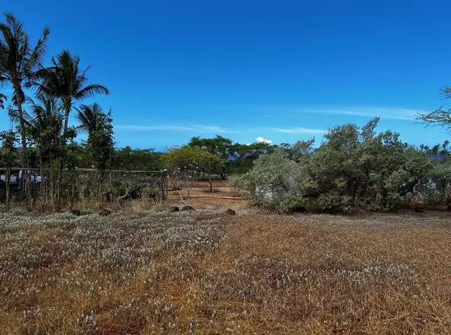 Listing Image for 30 Kaiaka Rd 82 7 of 8