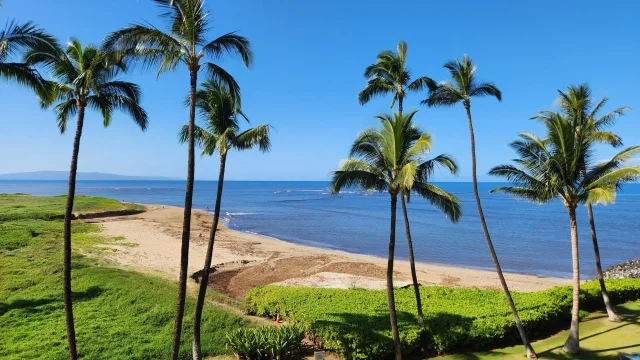 Listing Image for 800 S Kihei Rd 302 14 of 50