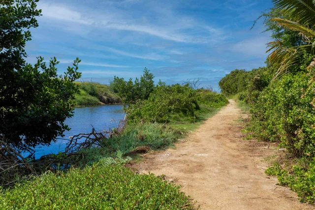 Listing Image for 800 S Kihei Rd 302 35 of 50