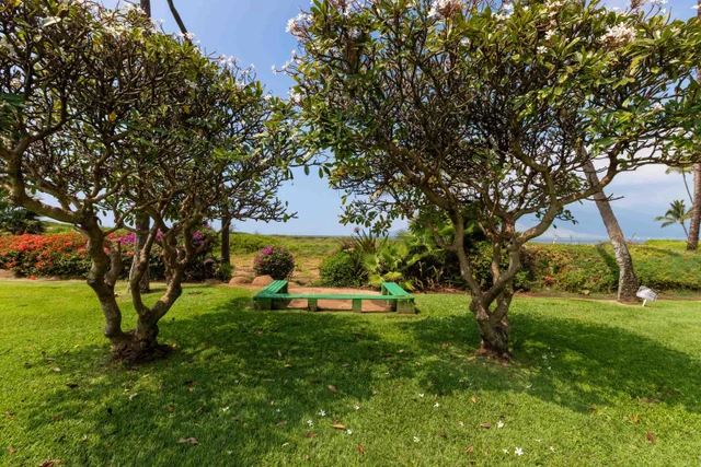 Listing Image for 800 S Kihei Rd 302 37 of 50