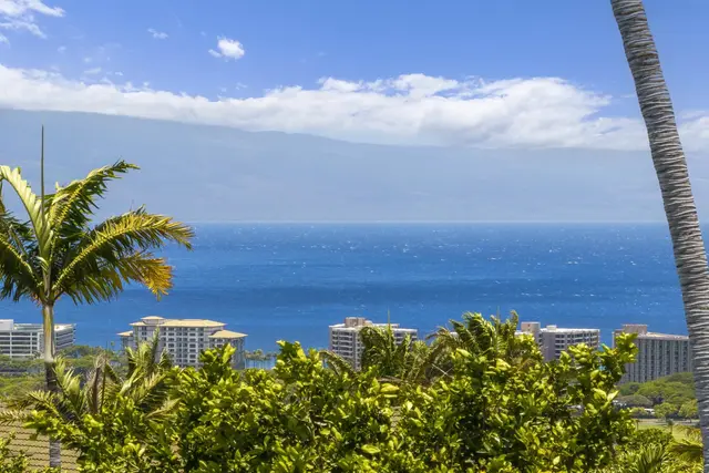 Listing Image for 411 Wekiu Pl 1 of 18