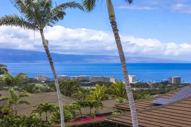 Listing Image for 411 Wekiu Pl 18 of 18