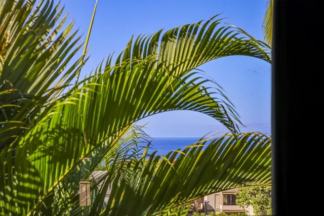 Listing Image for 10 Wailea Ekolu Pl 402 26 of 49