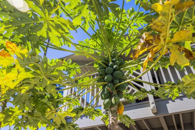 Listing Image for 715 S Kihei Rd 106 22 of 28