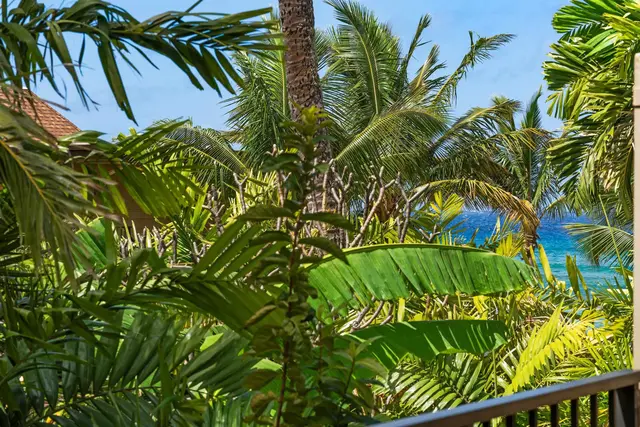 Listing Image for 3559 Lower Honoapiilani Rd 3k 33 of 33