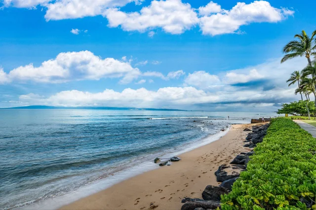 Listing Image for 3445 Lower Honoapiilani Rd 905 39 of 47