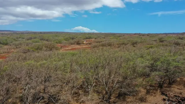 Listing Image for 4300 Pohakuloa Rd 337 8 of 24