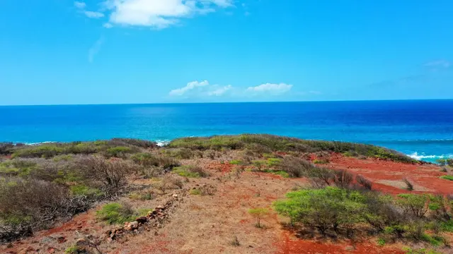 Listing Image for 4300 Pohakuloa Rd 337 9 of 24