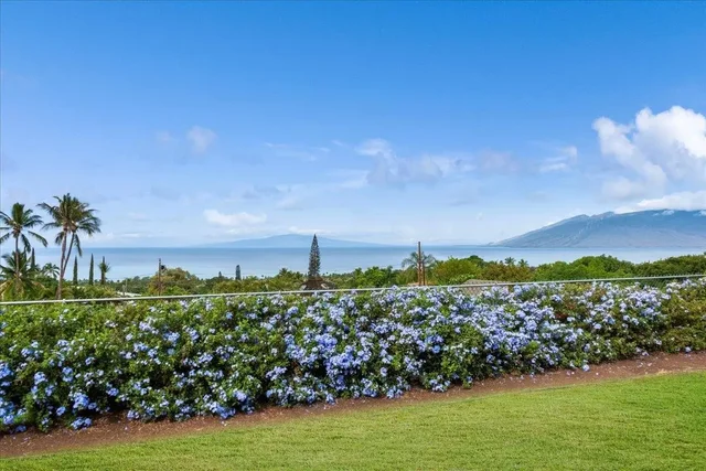 Listing Image for 3414 Keha Dr Unit B 18 of 38