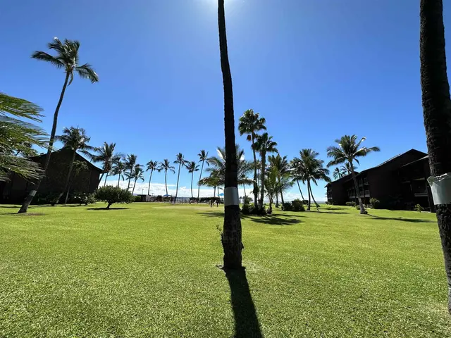 Listing Image for 1000 Kamehameha V Hwy B118 1 of 12