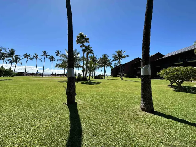 Listing Image for 1000 Kamehameha V Hwy B118 2 of 12