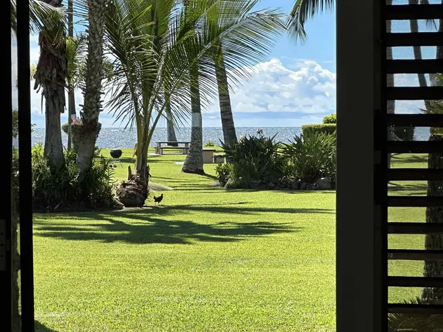 Listing Image for 1000 Kamehameha V Hwy B118 9 of 12