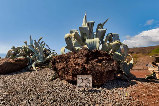 Listing Image for 23 Kupaia Pl 27 of 29