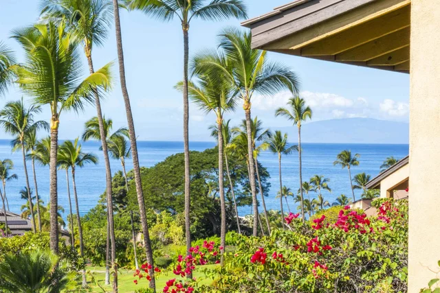 Listing Image for 3300 Wailea Alanui Dr 13d 29 of 50