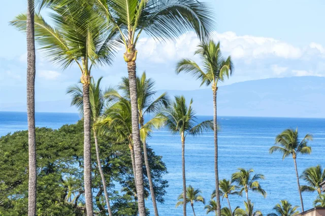 Listing Image for 3300 Wailea Alanui Dr 13d 30 of 50