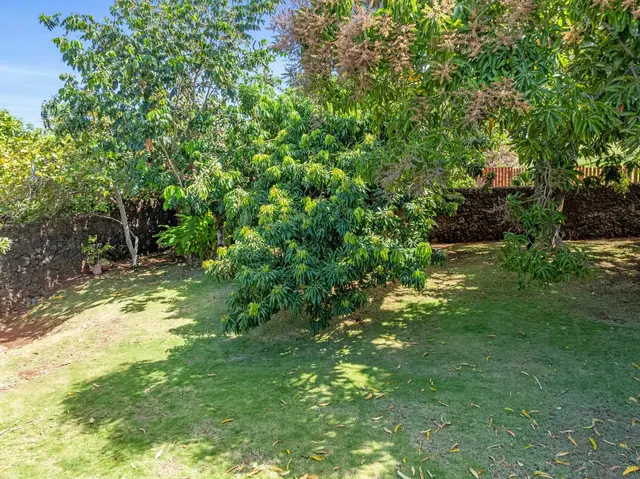 Listing Image for 69 Halelo St 38 of 48