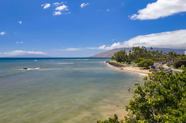 Listing Image for 44 Kanani Rd 2-103 10 of 44